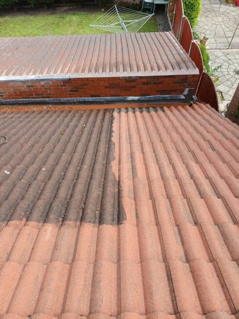 Roof-cleaning