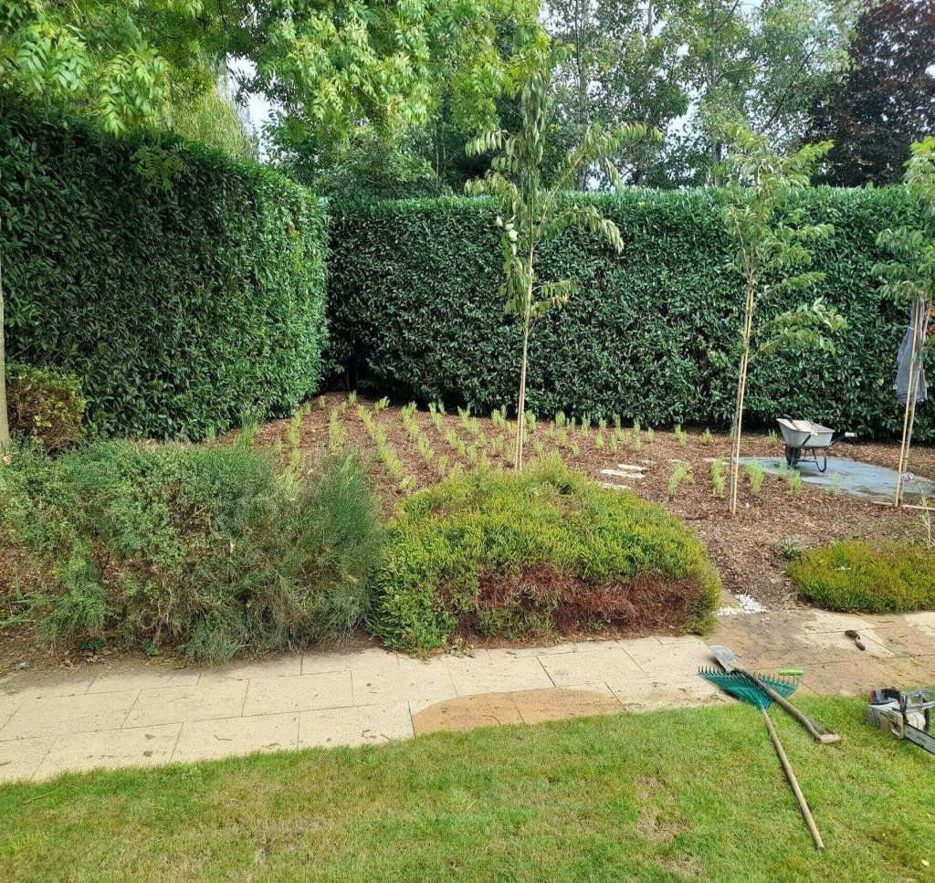 Gardening & Tree Care Dublin