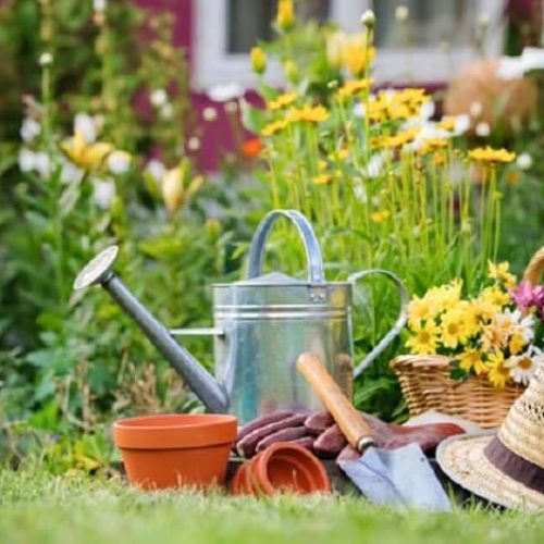 Gardening Services