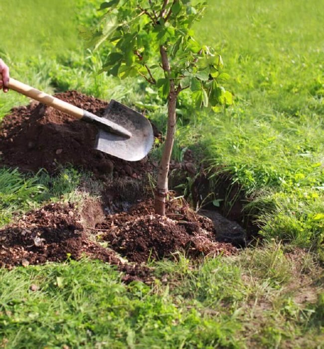 Gardening Service