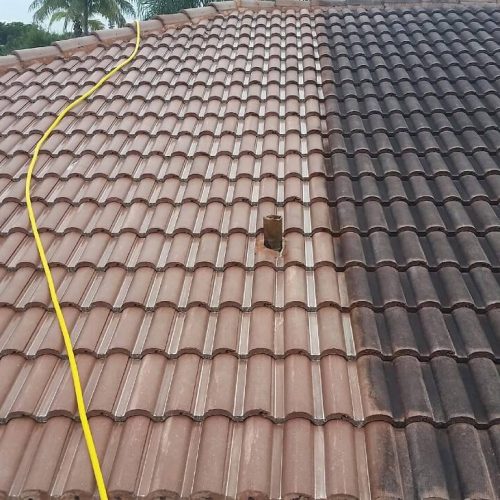 Roof Cleaning Services