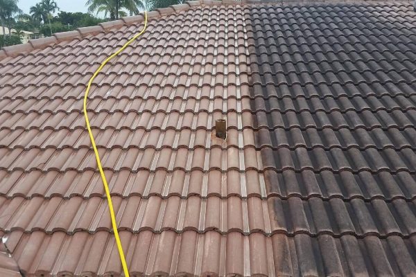 Roof Cleaning Services